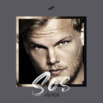 Avicii （アヴィーチー）のおすすめ人気曲・アルバム